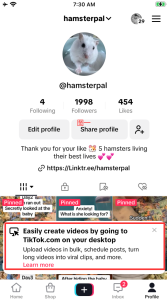 Tommy的Adsense的学习打卡：Day006 – AI工具站的SEO优化-快巴主机评测